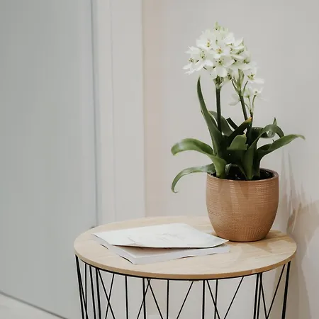 Elite * ティラナ